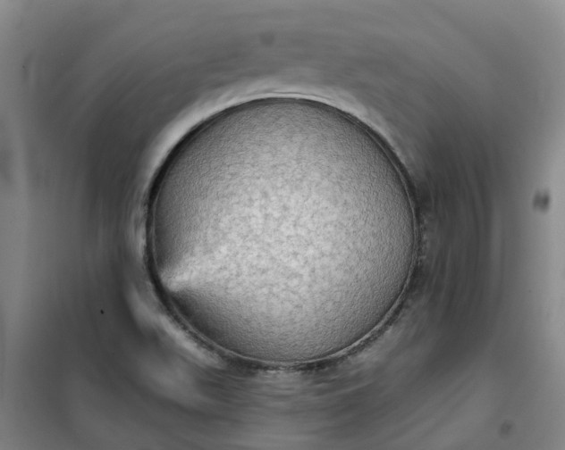 X0000101161511200807111016