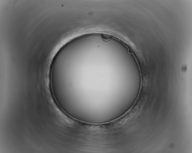 X0000101161512200807111016