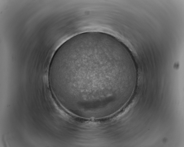 X0000101161513200807111016