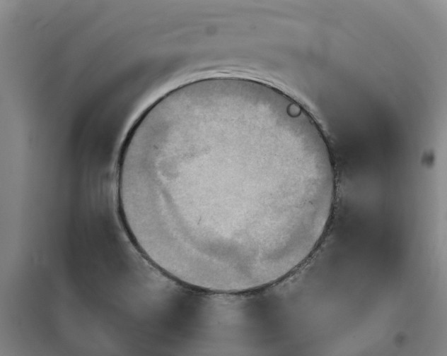 X0000101161514200807111016