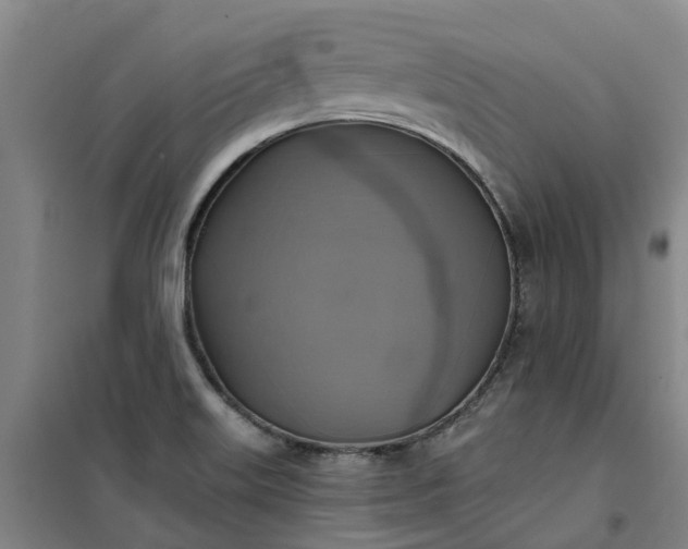 X0000101161515200807111016