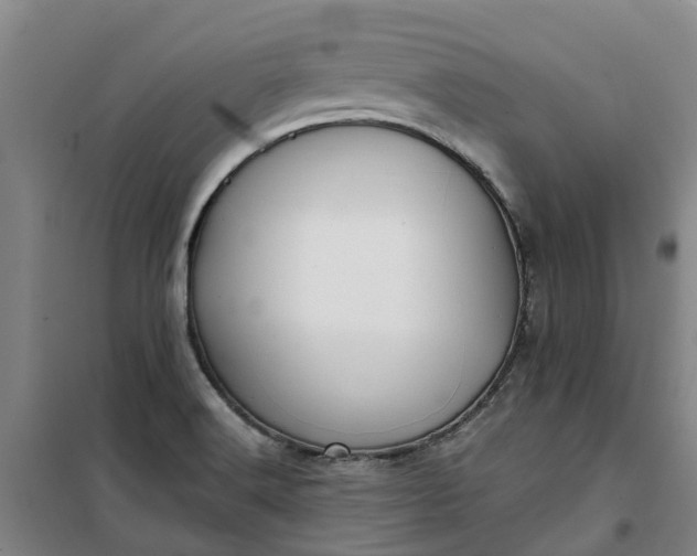 X0000101161516200807111016