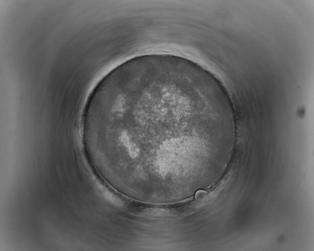 X0000101161517200807111016