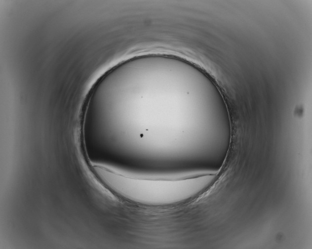 X0000101161518200807111016