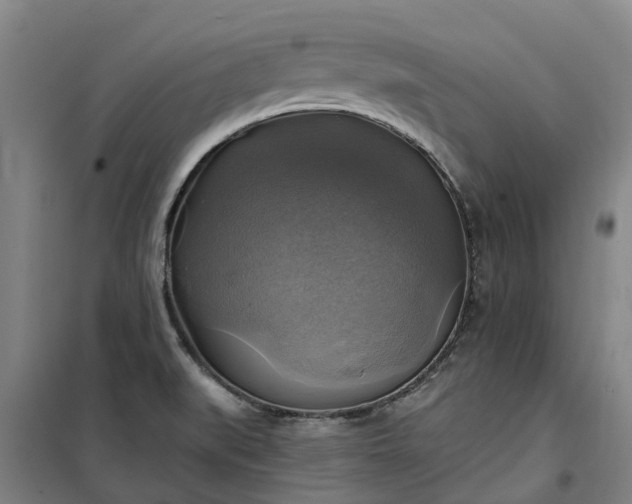 X0000101161519200807111017