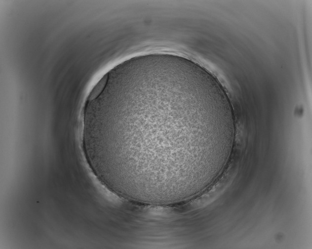 X0000101161520200807111017