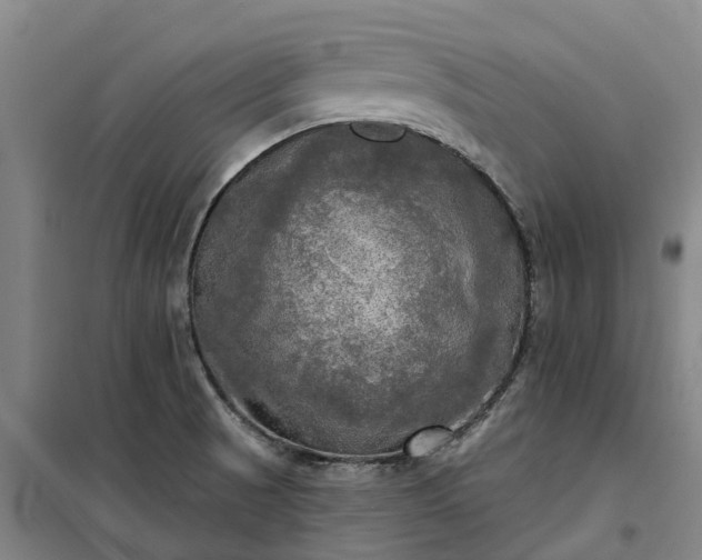 X0000101161521200807111017