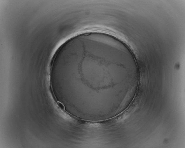 X0000101161522200807111017