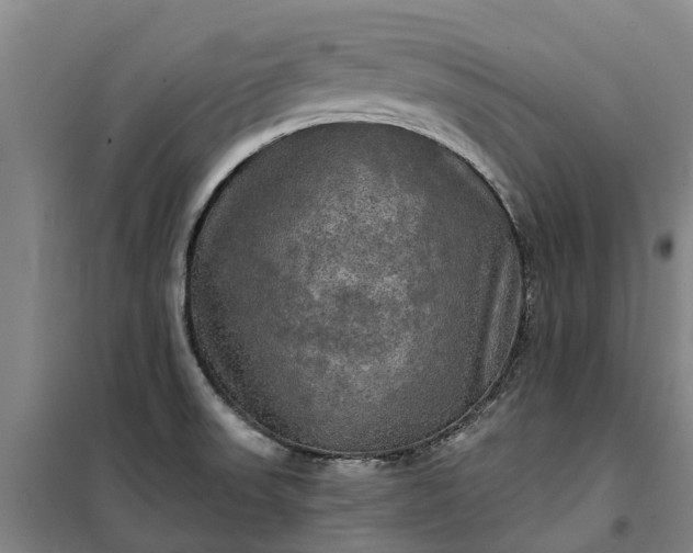 X0000101161523200807111017