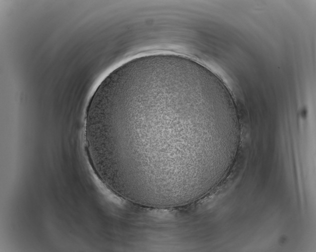 X0000101161524200807111017