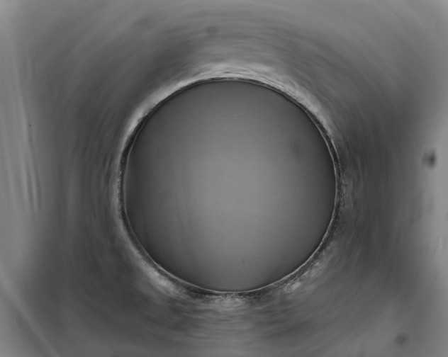 X0000101161525200807111017