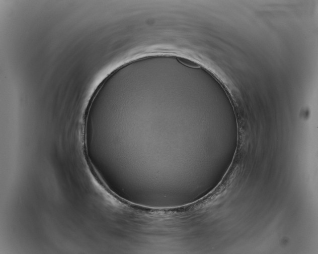 X0000101161527200807111017