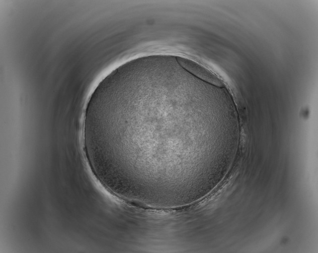 X0000101161528200807111017