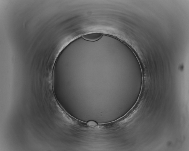 X0000101161529200807111017