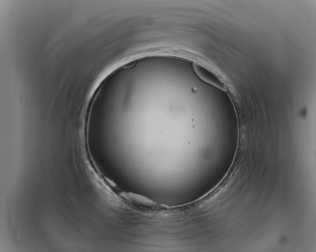 X0000101161530200807111017