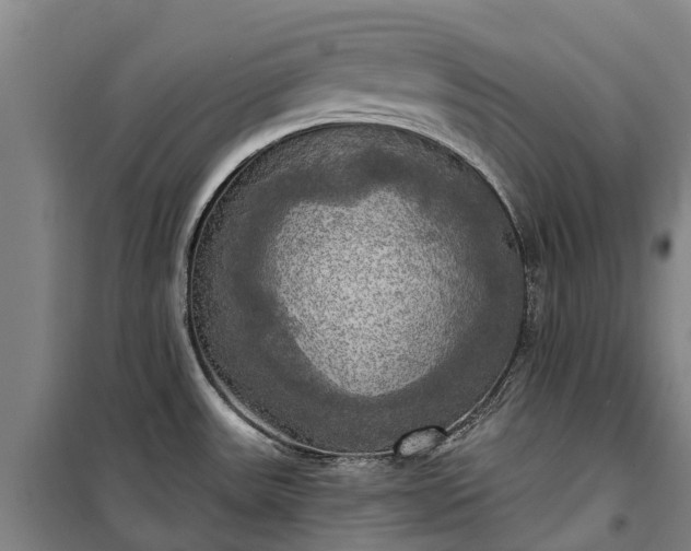 X0000101161531200807111017