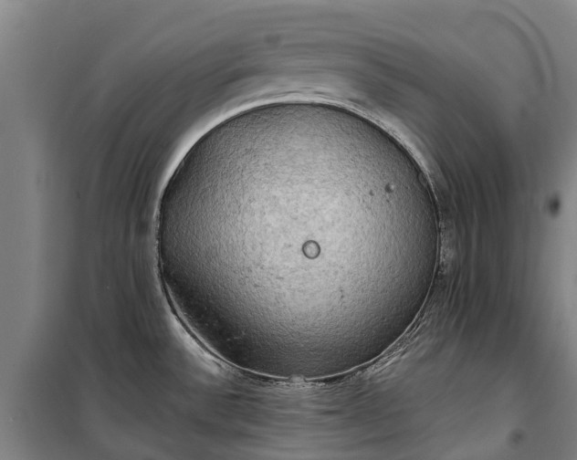 X0000101161532200807111017