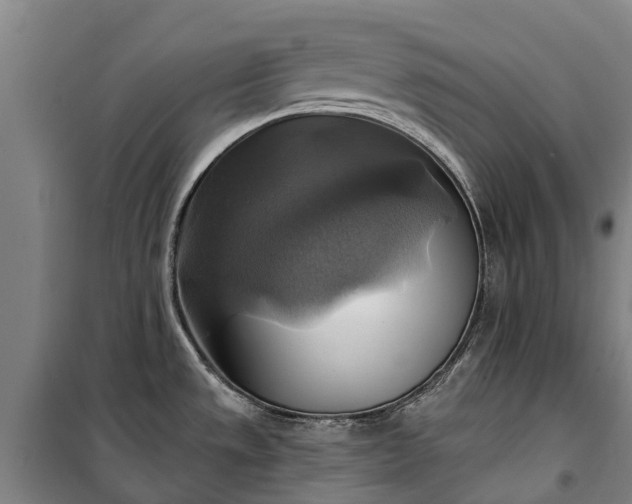 X0000101161533200807111017