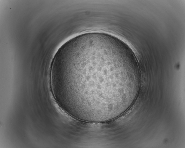 X0000101161534200807111017