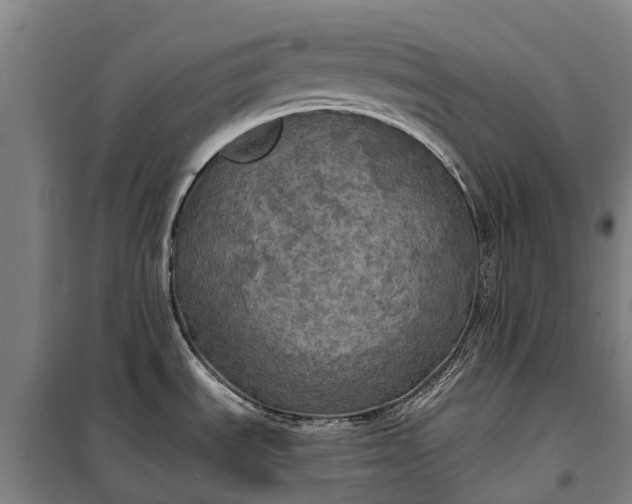 X0000101161535200807111017