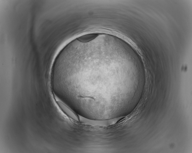 X0000101161536200807111017