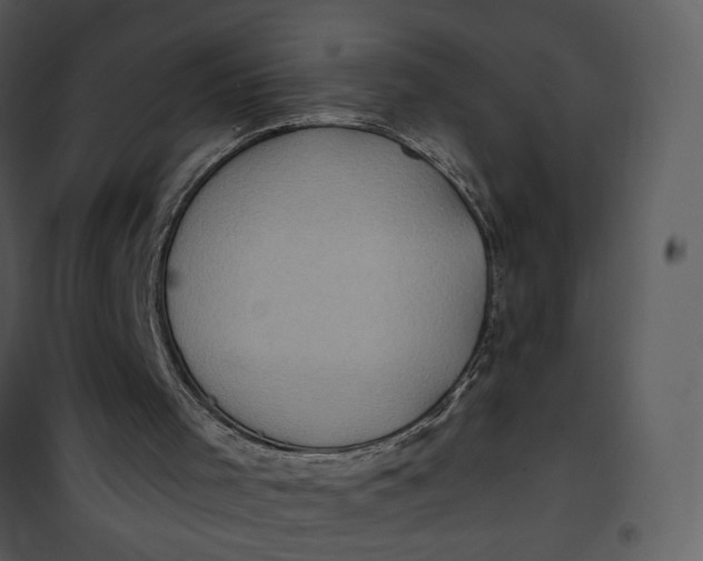 X0000101160001200807181410