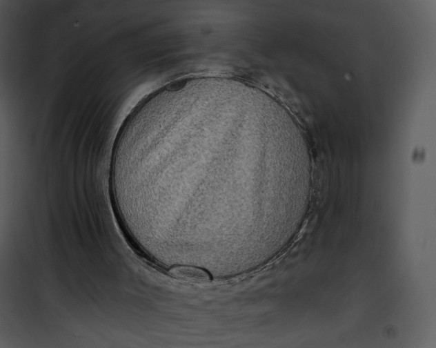 X0000101160003200807181410