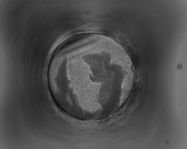 X0000101160004200807181410