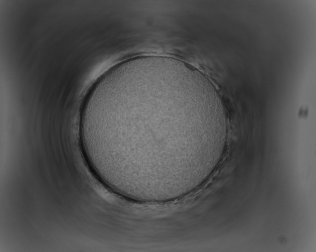 X0000101160005200807181410