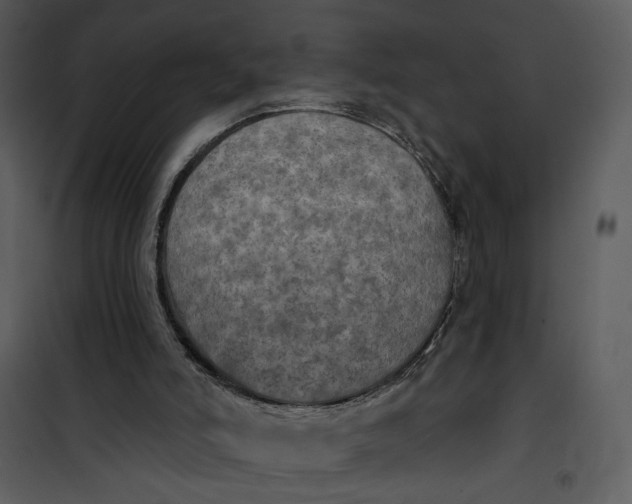 X0000101160006200807181410