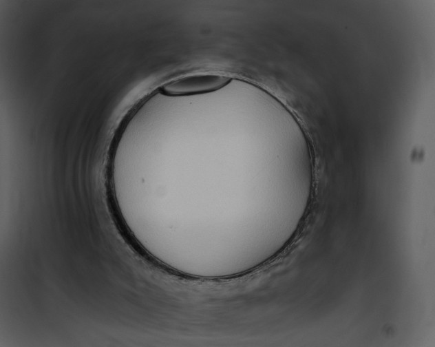 X0000101160007200807181410