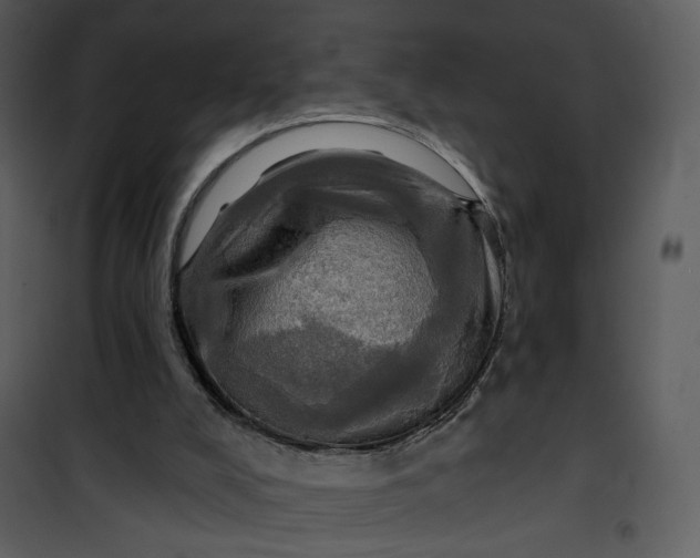 X0000101160008200807181410