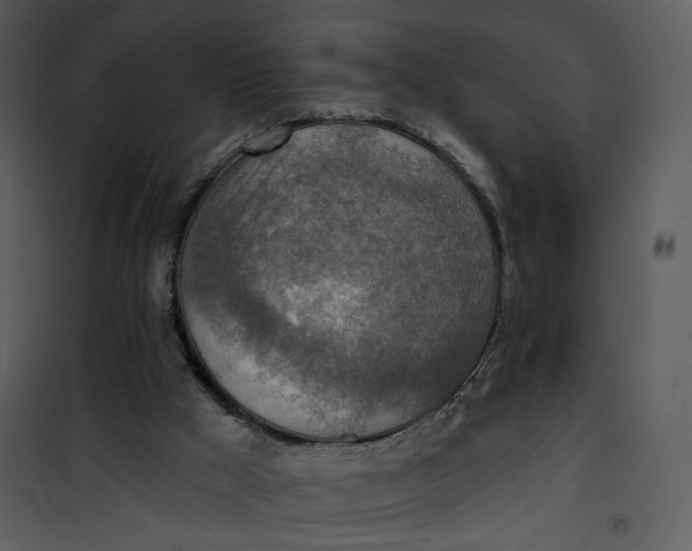 X0000101160009200807181410