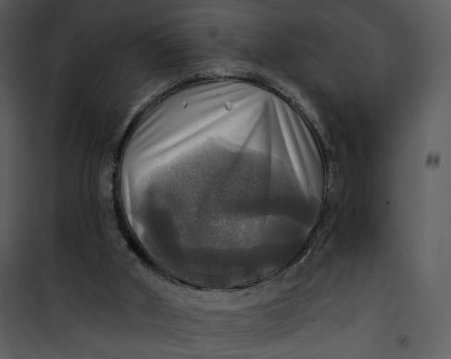 X0000101160010200807181410
