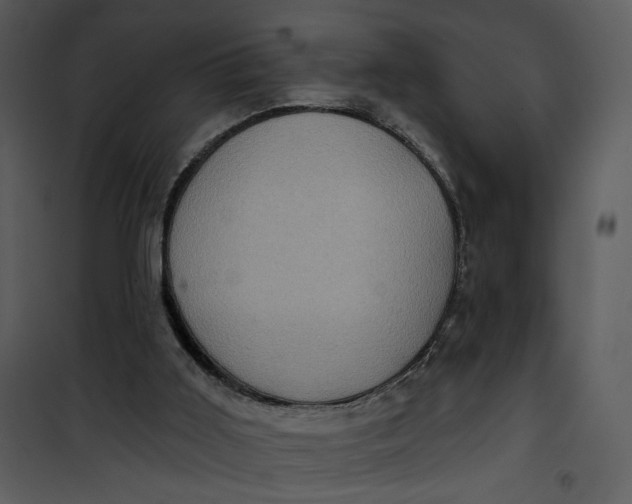 X0000101160011200807181410