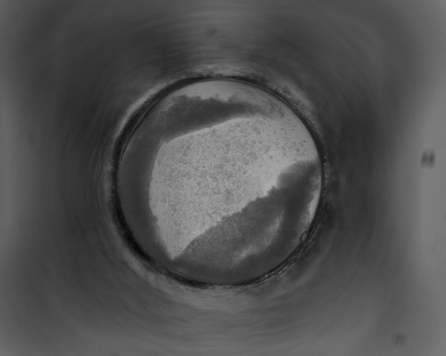 X0000101160012200807181410