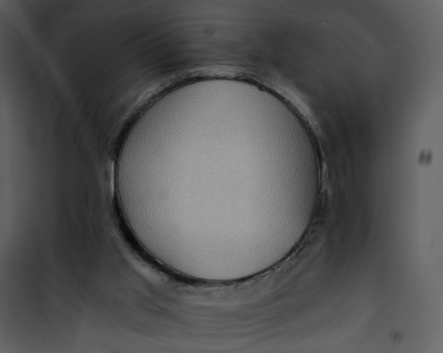 X0000101160013200807181410