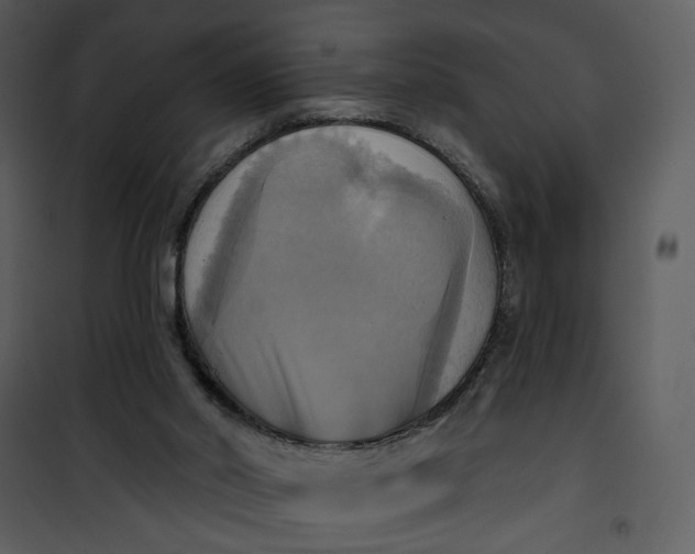 X0000101160014200807181410