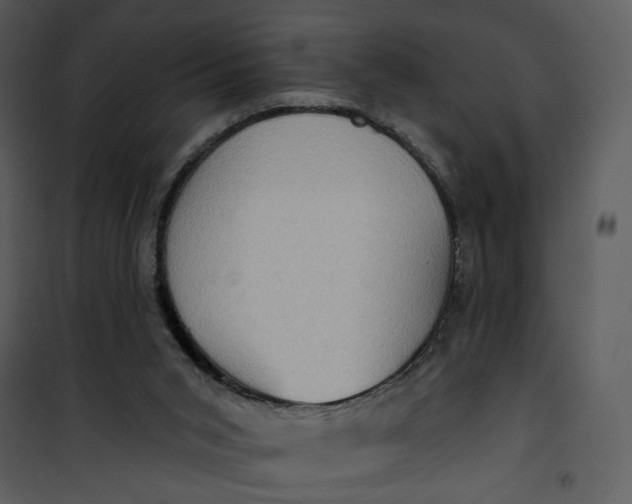 X0000101160015200807181410