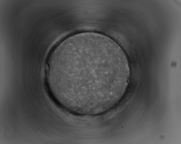 X0000101160016200807181410
