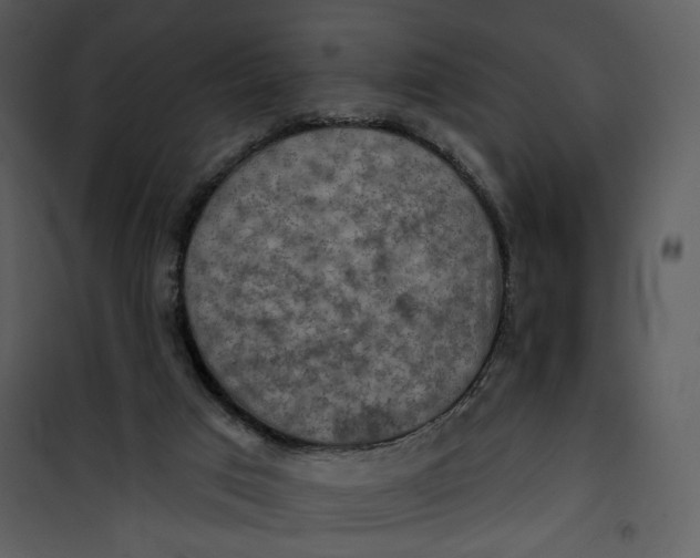 X0000101160017200807181410