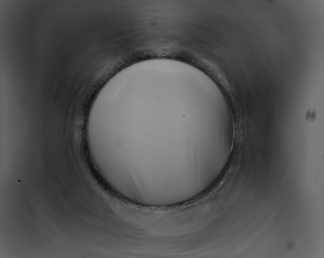 X0000101160018200807181410