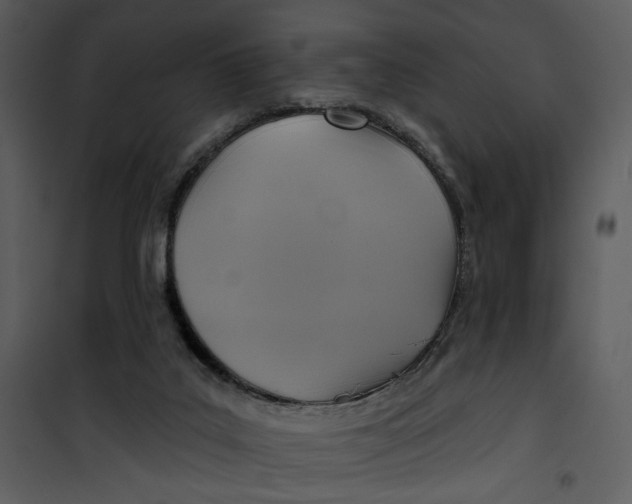 X0000101160019200807181410
