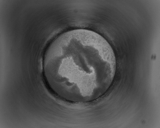 X0000101160020200807181410