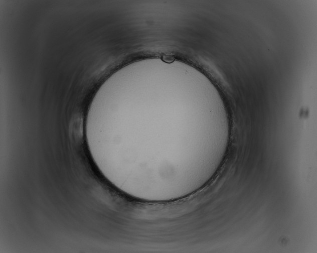 X0000101160021200807181410