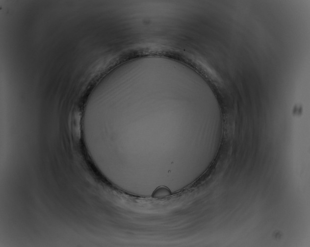 X0000101160022200807181410