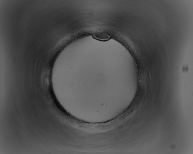 X0000101160023200807181410