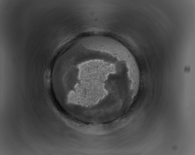 X0000101160024200807181410