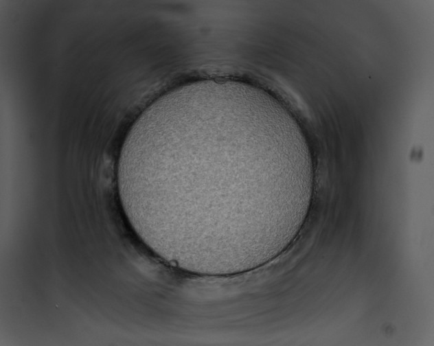X0000101160025200807181410