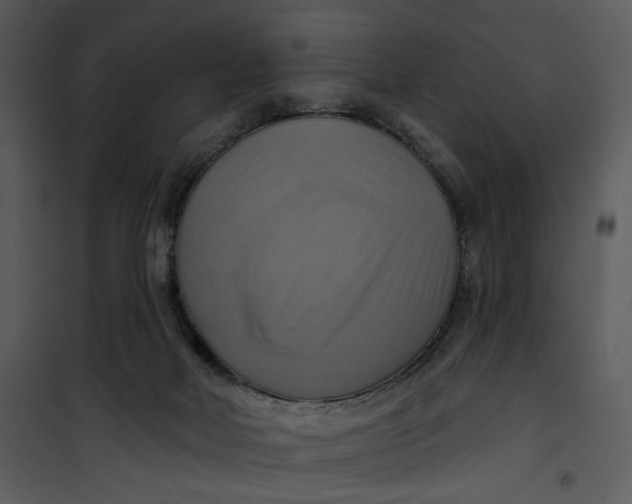X0000101160026200807181410